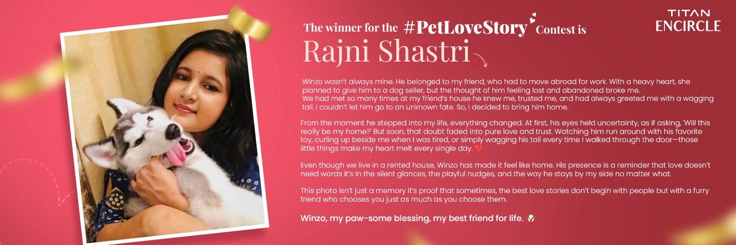 Pet Love Story